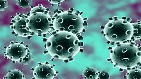 Corona Virus (covid-19)
