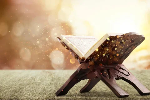 How important are the stories of the Prophets in the Holy Quran?