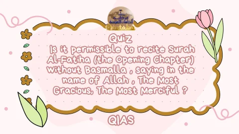 The Qur'an Revelation in Arabic Harness Heavenly Arabic With QIAS (9)