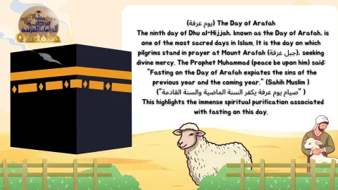 embrace Arabic & Quraan (4)