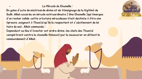 le prophéte salih (5)
